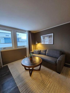 Central apartment close to city center!